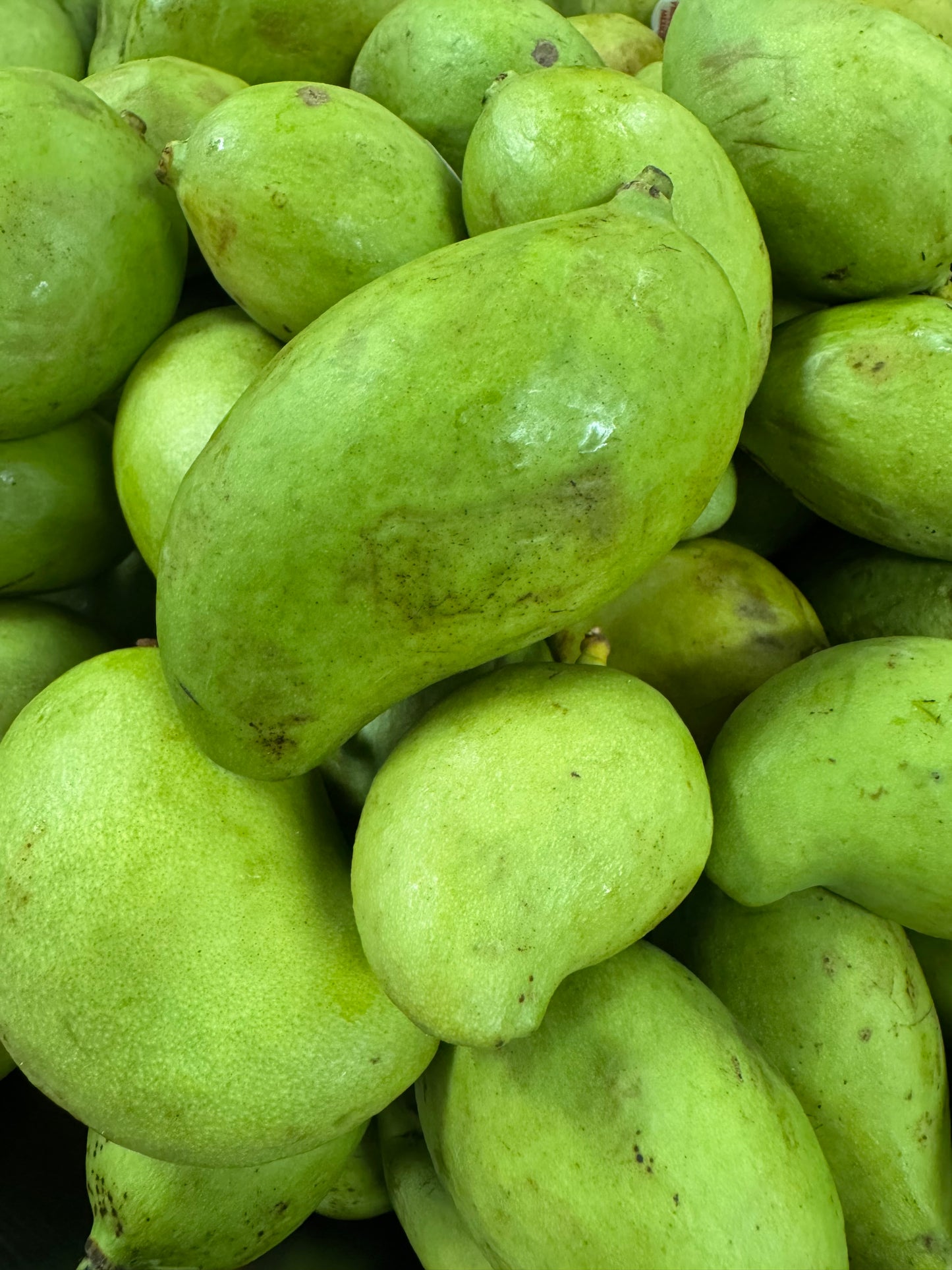 Mango Verde