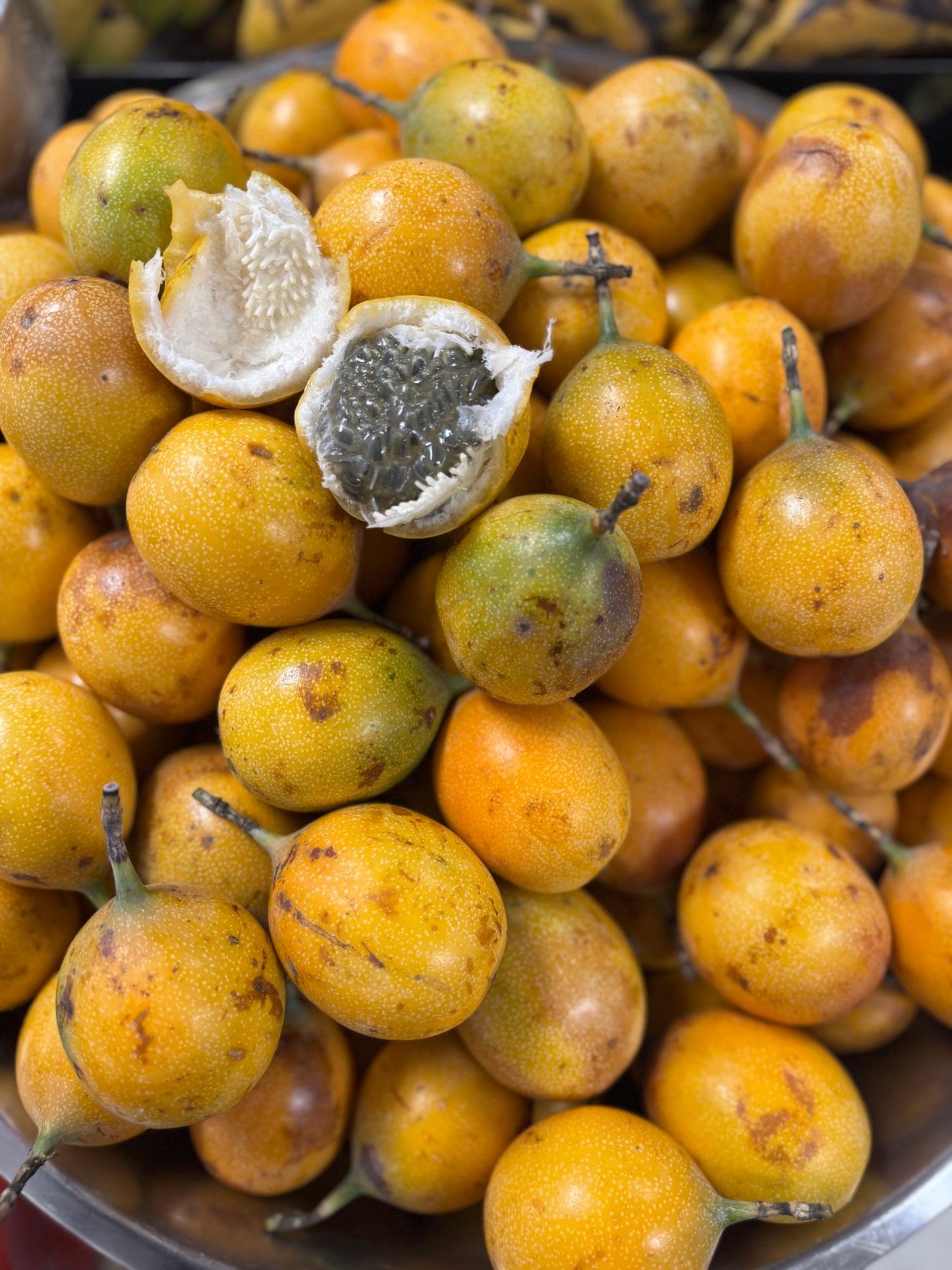 Granadilla