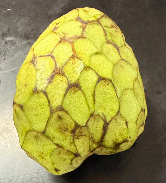 Cherimoya Grande