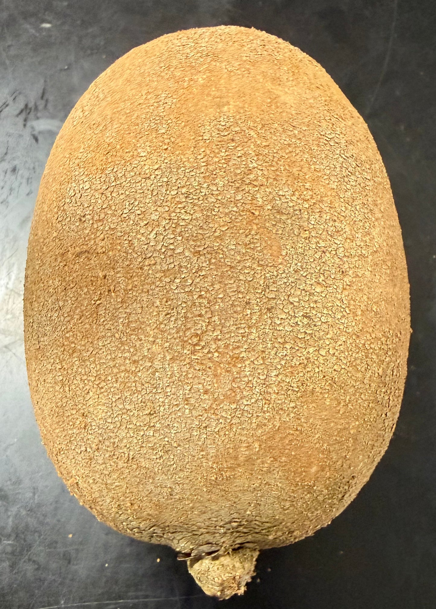 Zapote Mediano